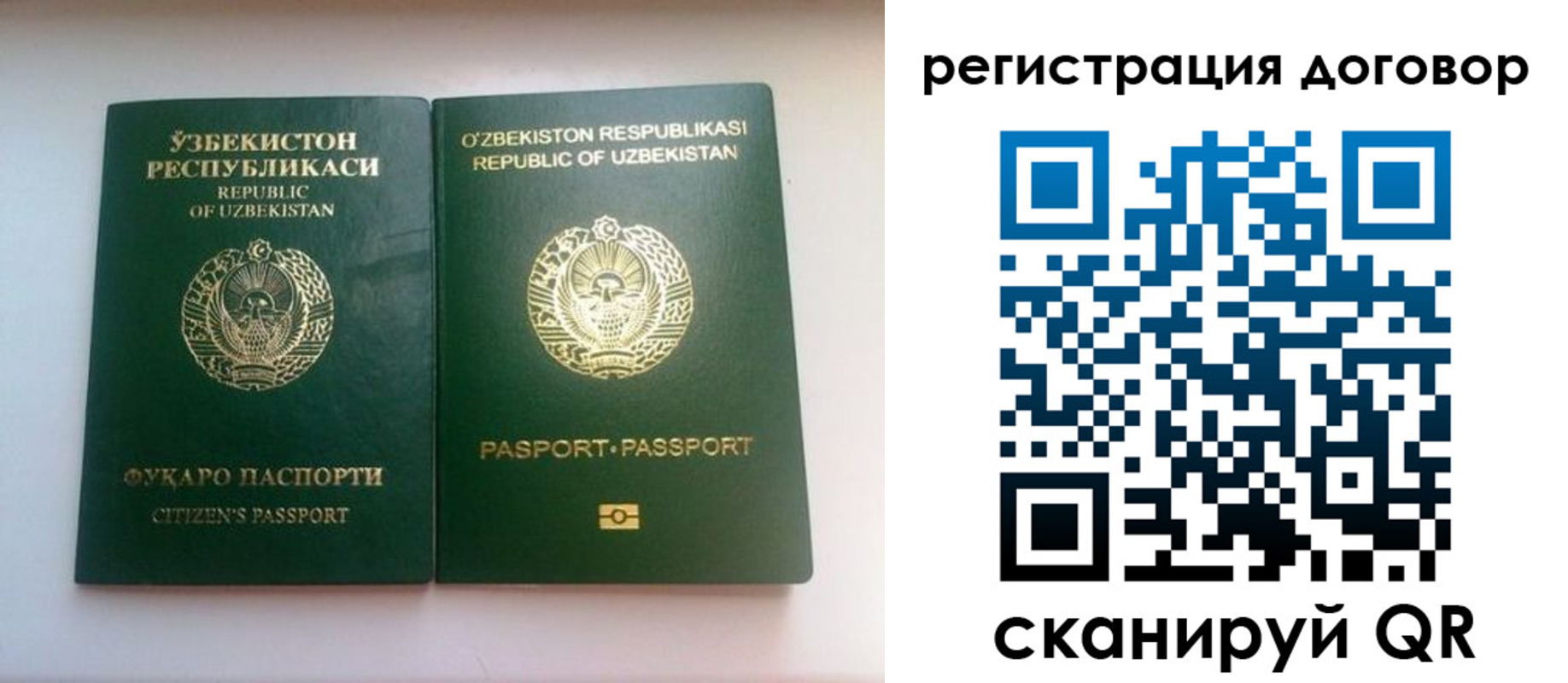 прописка в Каргополе